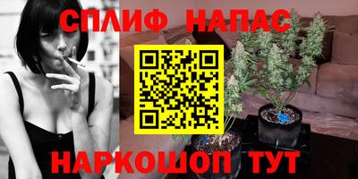 тгк Канаш