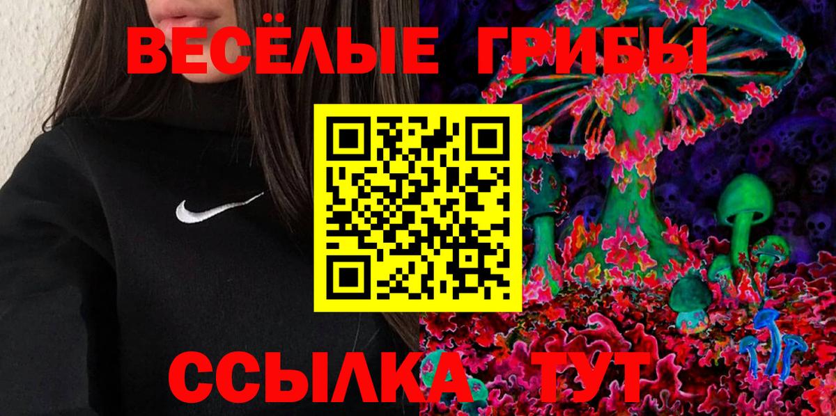 Псилоцибиновые грибы мухоморы  Псилоцибиновые грибы Psilocybe  Краснознаменск  Вход с VPN 