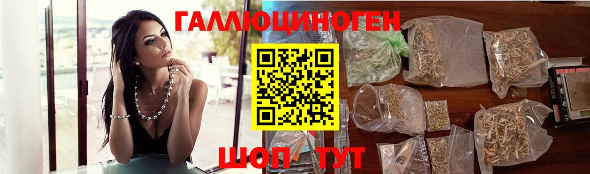 NBOMe Краснознаменск